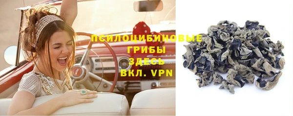 стаф Сосновка