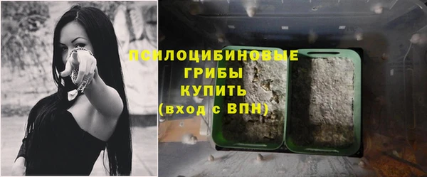 бошки Балахна